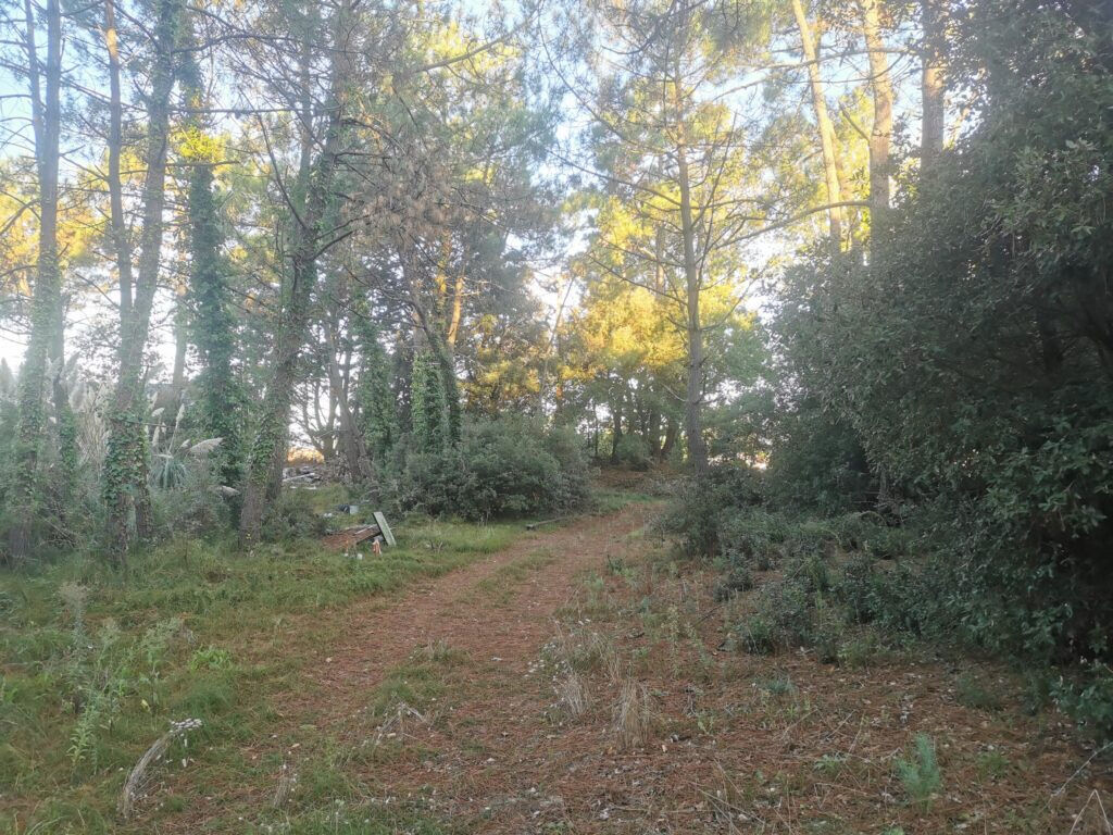 Grundstück in Saint-Jean-de-Monts, France 573m², Nr. 239470