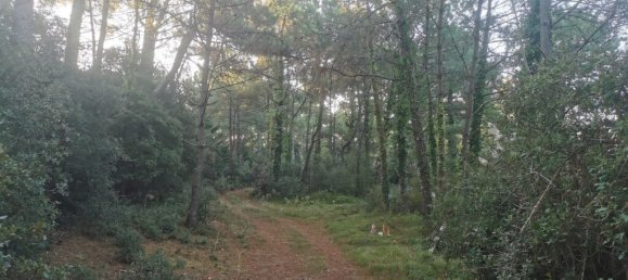 Grundstück in Saint-Jean-de-Monts, France 573m², Nr. 239470 5