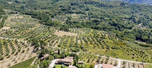 12 bedrooms House in Seggiano, Italy No. 57096 4