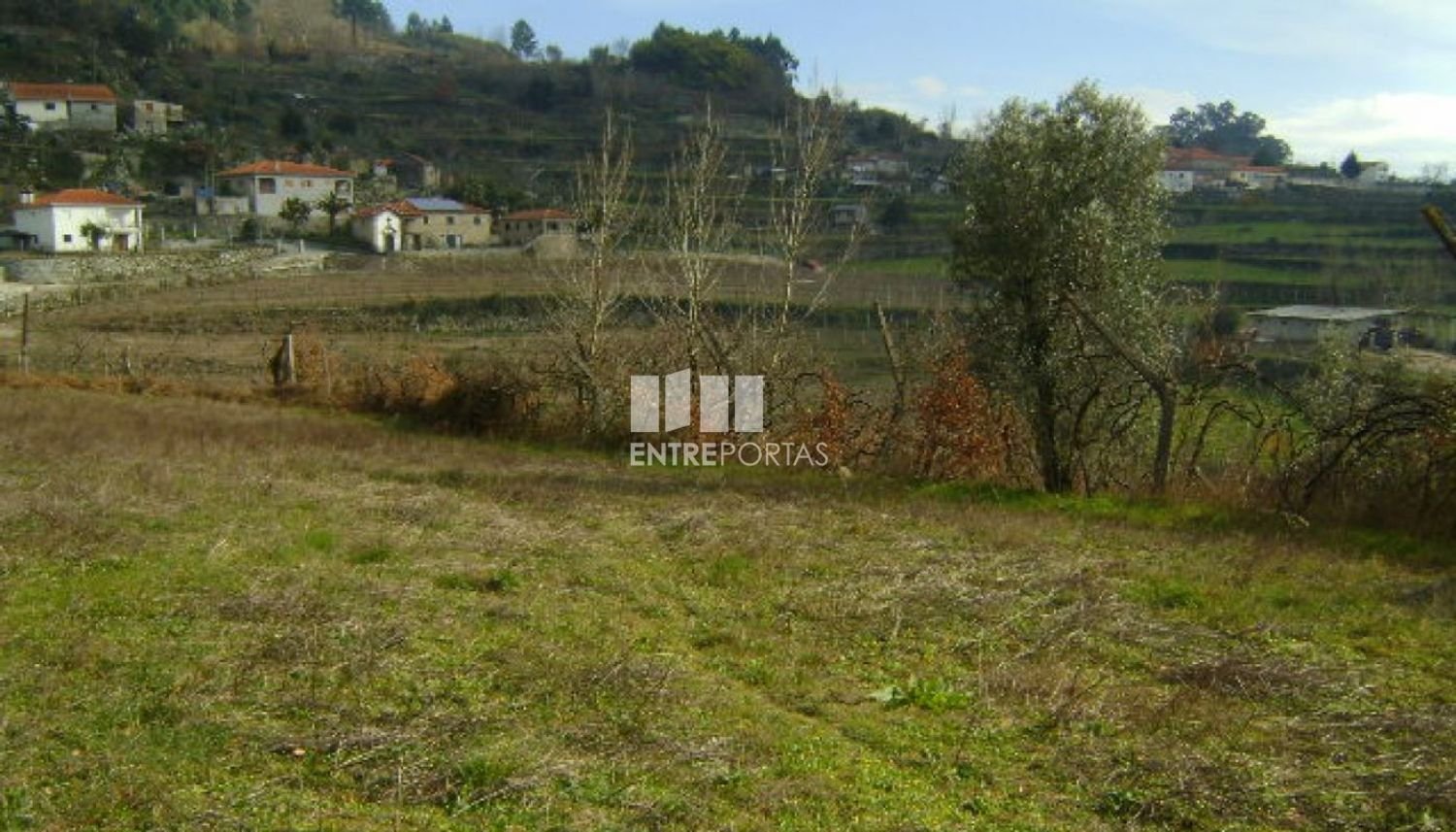 1620m² Land in Baiao, Portugal No. 56091