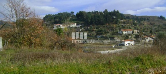 1620m² Land in Baiao, Portugal No. 56091 7