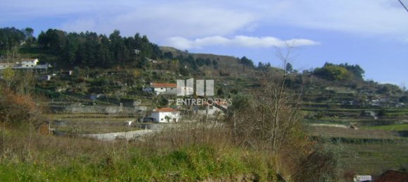1620m² Land in Baiao, Portugal No. 56091 6