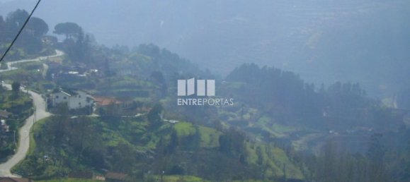 1620m² Land in Baiao, Portugal No. 56091 2