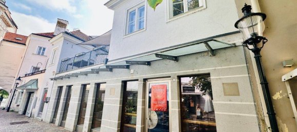 148m² Commercial property in Wiener Neustadt, Austria No. 191431 19