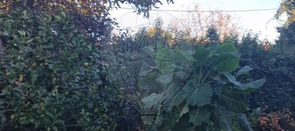 3 chambres Maison à Alijo, Portugal No. 184318 15