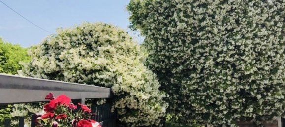 3 غرف نوم فيلا في Zenson di Piave, Italy رقم 55071 19