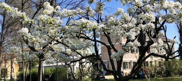 3 غرف نوم فيلا في Zenson di Piave, Italy رقم 55071 22