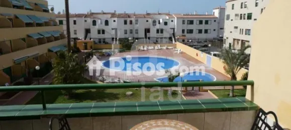 1 chambre Appartement à Arona, Spain No. 169808 12