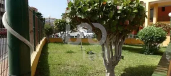 1 chambre Appartement à Arona, Spain No. 169808 14