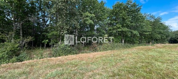  قطعة أرض في Villemur-sur-Tarn, France 45574متر مربع رقم 284884 2