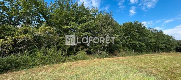  قطعة أرض في Villemur-sur-Tarn, France 45574متر مربع رقم 284884 4