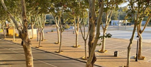 Büro in Cadiz, Spain 54m², Nr. 220242 8