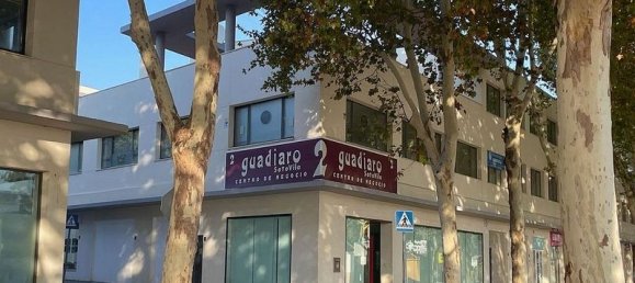 Büro in Cadiz, Spain 54m², Nr. 220242 9