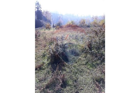 7055m² Land in Vila Verde, Portugal No. 31206