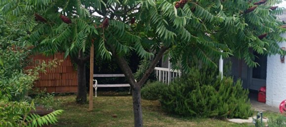 Бунгало с 3 комнатами в Нойзидль ам Зе, Австрия № 243262 3