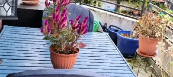 Estúdio em Wuppertal, Germany N.º 21385 8