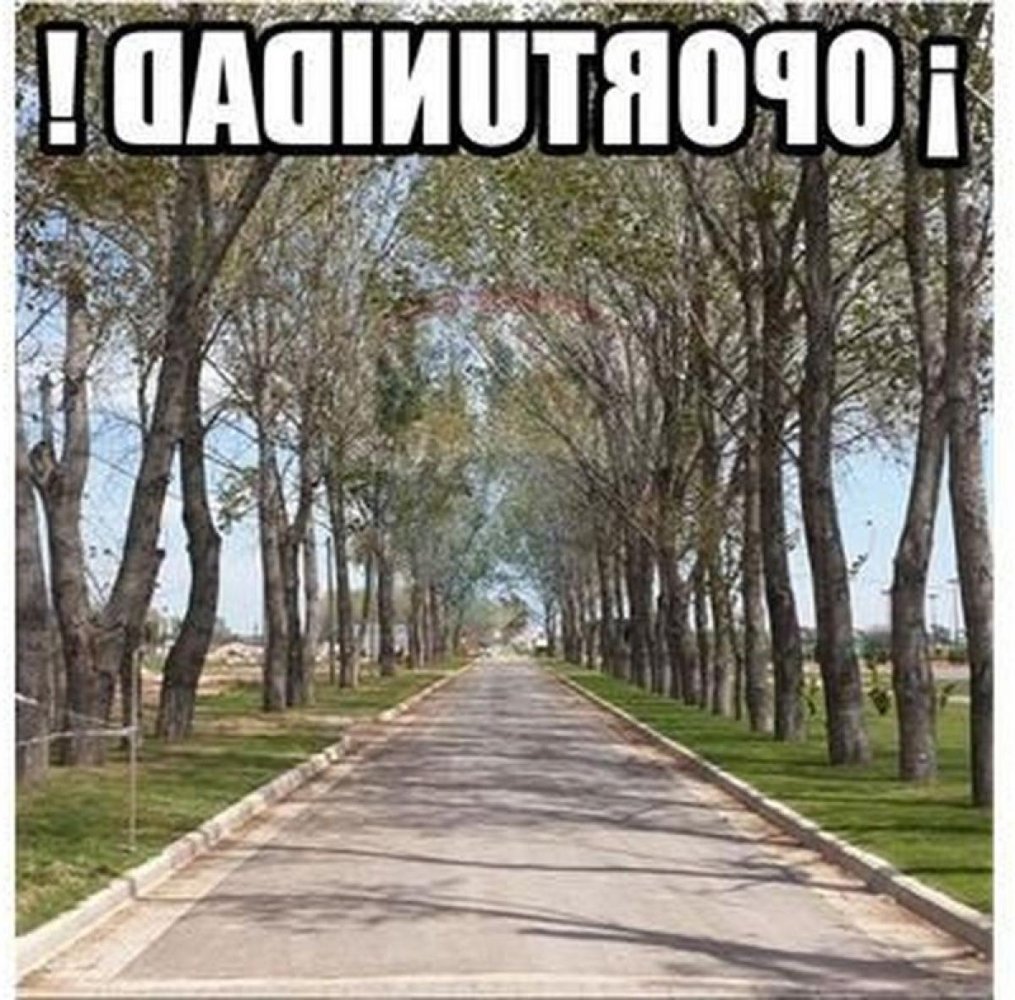  Land in Esteban Echeverria, Argentina No. 46394