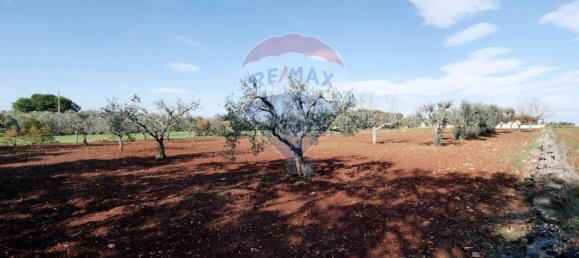 Imóvel comercial em Martina Franca, Italy 34 m² N.º 169132 12