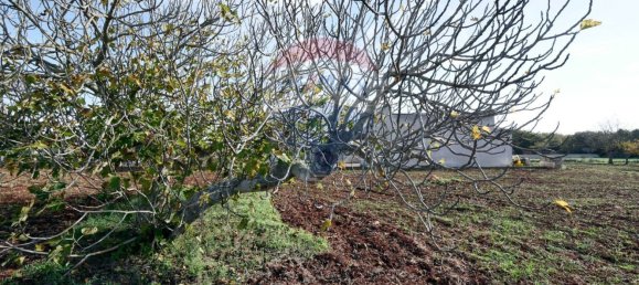 Imóvel comercial em Martina Franca, Italy 34 m² N.º 169132 10