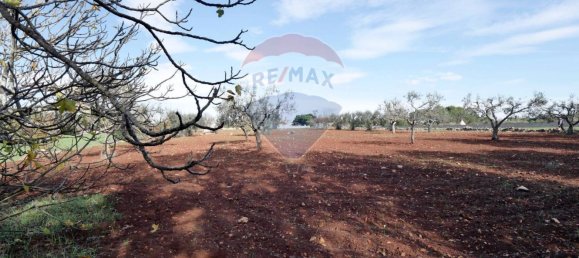 Imóvel comercial em Martina Franca, Italy 34 m² N.º 169132 13