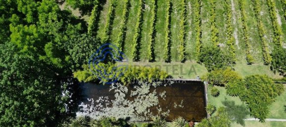 28710m² Land in Ribeirao, Portugal No. 28521 7