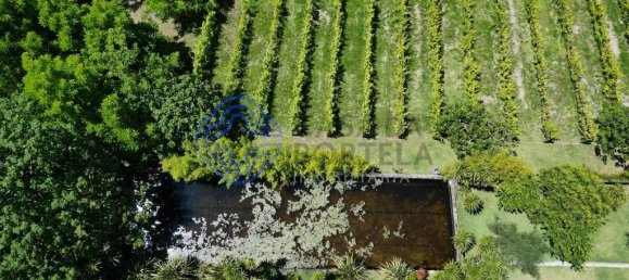 28710m² Land in Ribeirao, Portugal No. 28521 6