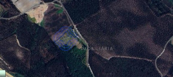 28710m² Land in Ribeirao, Portugal No. 28521 9