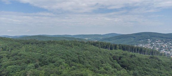 2 rooms House in Penzing, Austria No. 159404 4