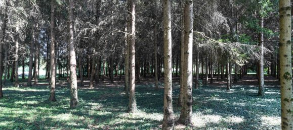 Villa de 7 dormitorios en Soiano del Lago, Italy No. 77376 39