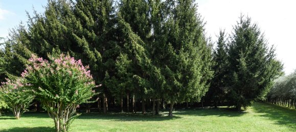 Villa de 7 dormitorios en Soiano del Lago, Italy No. 77376 34