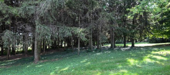 Villa de 7 dormitorios en Soiano del Lago, Italy No. 77376 25