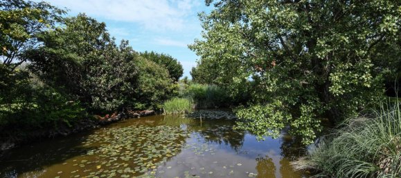 Villa de 7 dormitorios en Soiano del Lago, Italy No. 77376 32