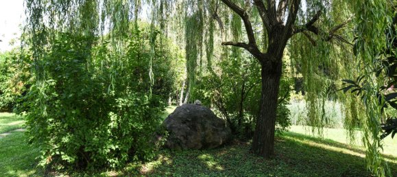 Villa de 7 dormitorios en Soiano del Lago, Italy No. 77376 33