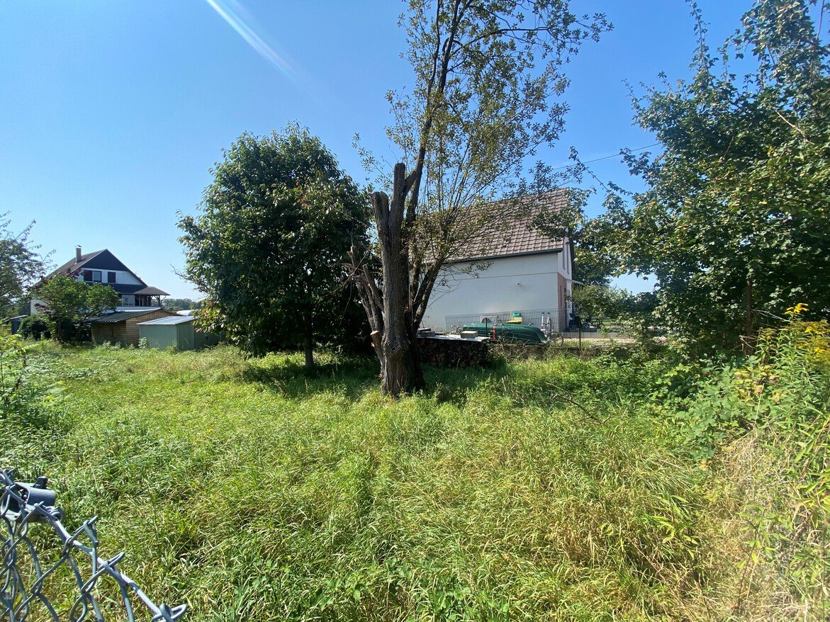  Land in Drusenheim, France No. 249485