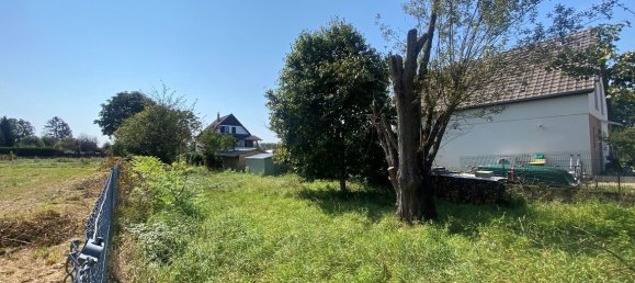  Land in Drusenheim, France No. 249485 2