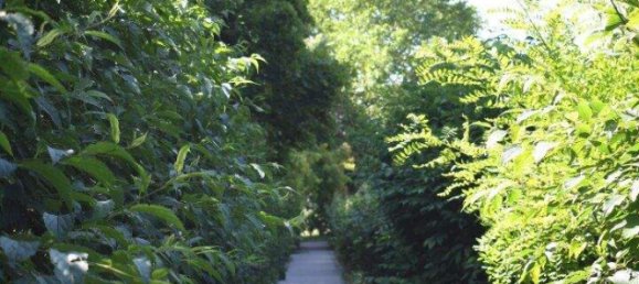 4غرفة شقة في Wiener Neudorf, Austria رقم 168834 7