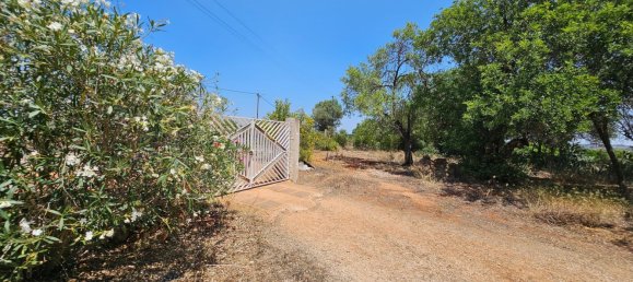 3 Schlafzimmer Haus in Silves, Portugal, Nr. 61527 20
