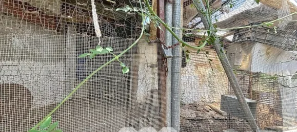 Adosado de 4 dormitorios en Comares, Spain No. 174842 6