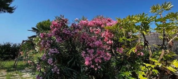 10 Schlafzimmer Villa in Ancona, Italy, Nr. 362593 40