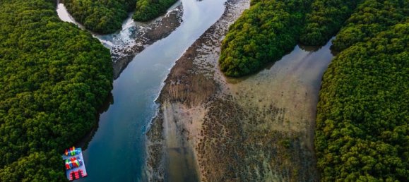 16680m² Land in Al Zorah, UAE No. 104273 15