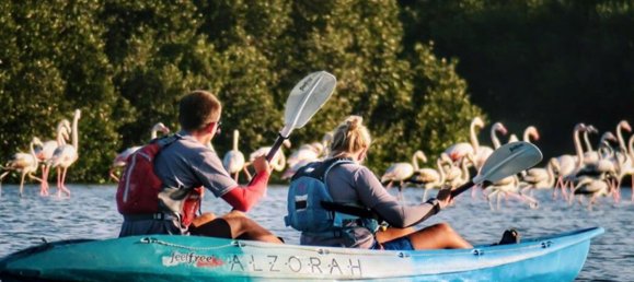 16680m² Land in Al Zorah, UAE No. 104273 27