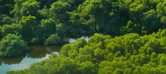 16680m² Land in Al Zorah, UAE No. 104273 23