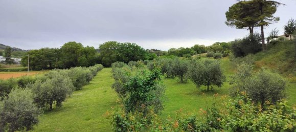 18غرفة منزل في Pesaro, Italy رقم 214256 6