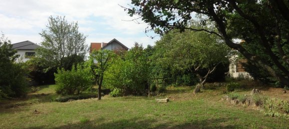 قطعة أرض في Purbach am Neusiedler See, Austria رقم 58356 8