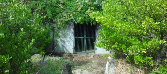 قطعة أرض في Purbach am Neusiedler See, Austria رقم 58356 10