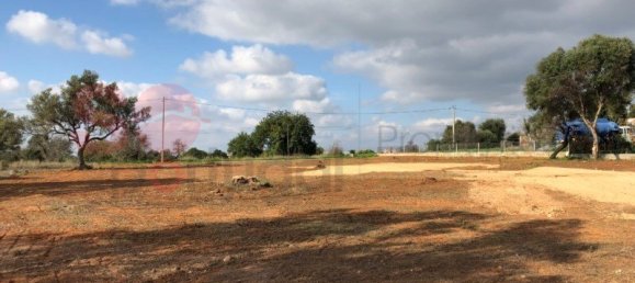 Terrain à Almancil, Portugal No. 146676 10