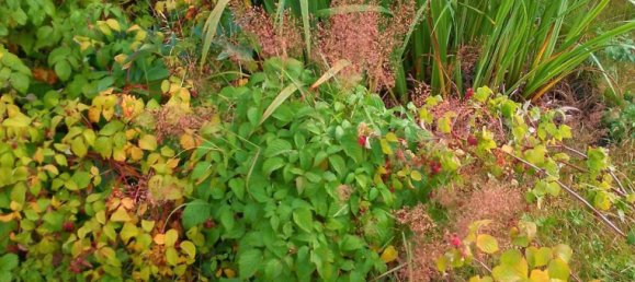 1 غرف نوم تاون هاوس في Bavaria, Germany رقم 340693 9