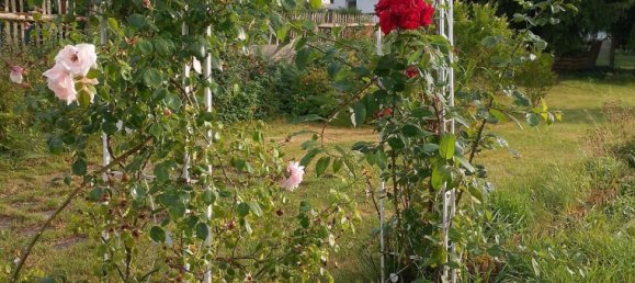 1 غرف نوم تاون هاوس في Bavaria, Germany رقم 340693 2