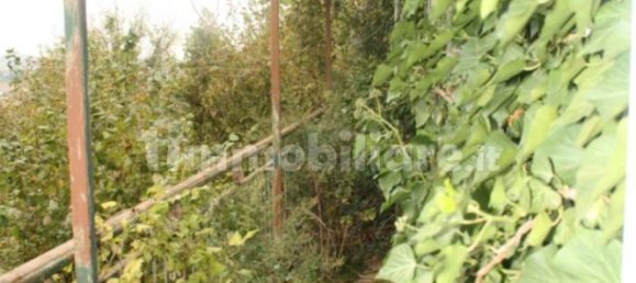 Casa T5 em Camagna Monferrato, Italy N.º 220262 26