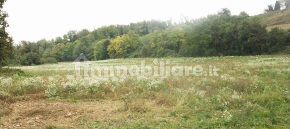 Casa T5 em Camagna Monferrato, Italy N.º 220262 5